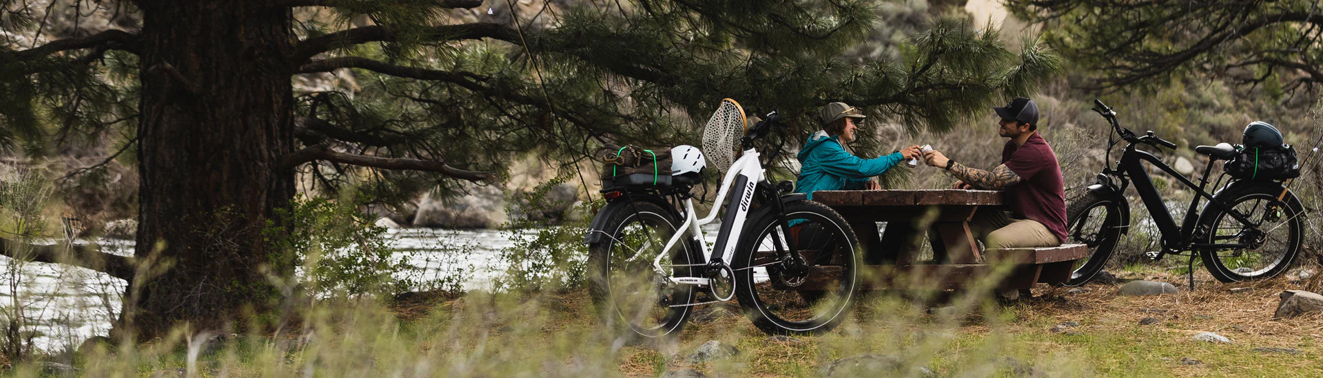 Dirwin Bike