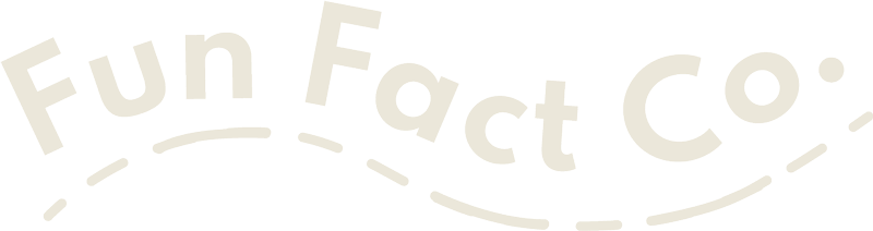 Fun Fact Co.